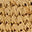 Swatch image for 100586