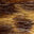 Image Swatch pour le code produit du chapeau : 123600