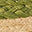 Image Swatch pour le code produit du chapeau : 127020
