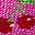 Image Swatch pour le code produit du chapeau : 150403