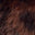 Swatch image for 185583