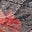 Swatch image for 208861