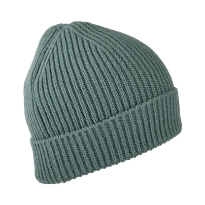Bonnet Enfant à Revers TNF Box Logo sauge foncé THE NORTH FACE