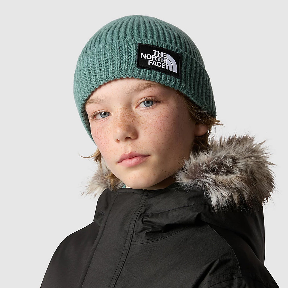Bonnet Enfant à Revers TNF Box Logo sauge foncé THE NORTH FACE