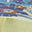Swatch image for 509449