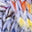 Swatch image for 740133