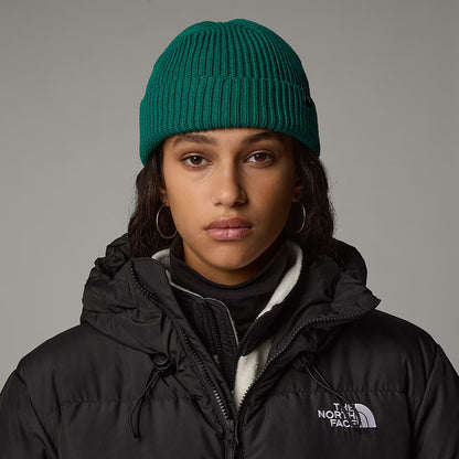Bonnet Marin Recyclé TNF sempervirent THE NORTH FACE