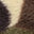 Image Swatch pour le code produit du chapeau : 740414