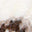 Image Swatch pour le code produit du chapeau : 740532