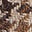 Swatch image for 802004