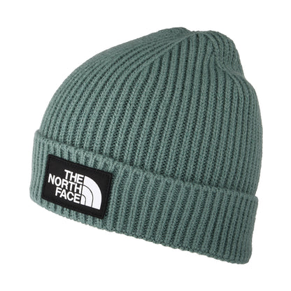 Bonnet Enfant à Revers TNF Box Logo sauge foncé THE NORTH FACE