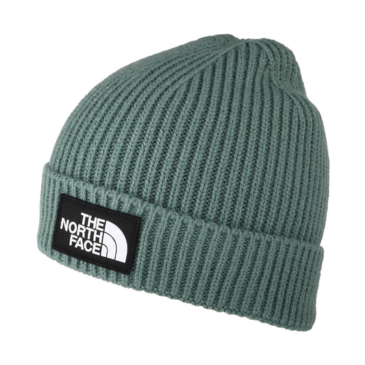 Bonnet Enfant à Revers TNF Box Logo sauge foncé THE NORTH FACE
